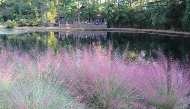 Extended Stay Contemporary Secluded Waterfront Lodge in Bamboo, Burlington NC,