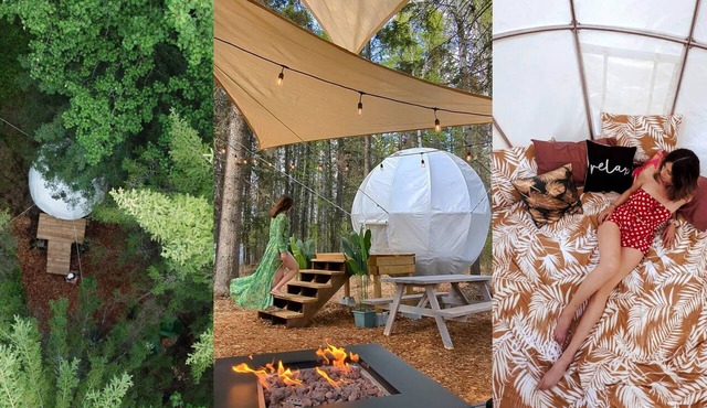Floating Treehouse Cocoon - The Firefly