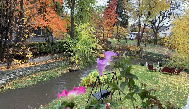 Full 2 bedroom Suite near Hospital, Downtown & Lake. Kelowna's Natures Oasis