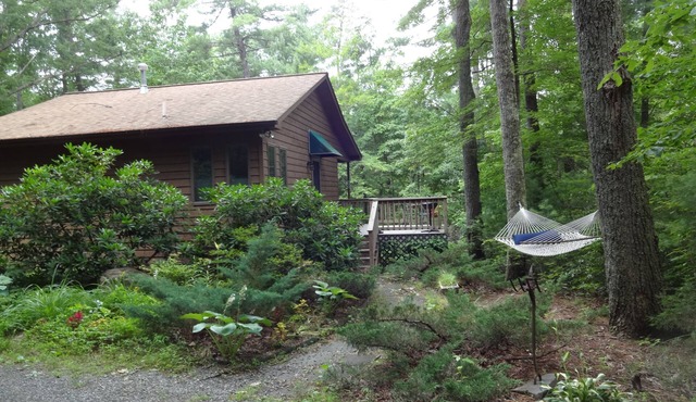 Fully equipped, romantic cabin for 2 in the Blue Ridge Mountains