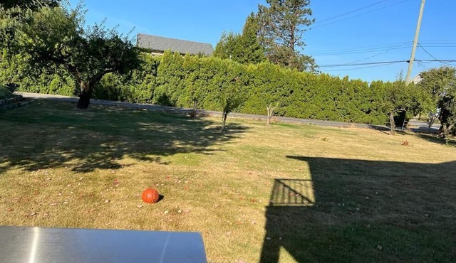 Get-away with farm