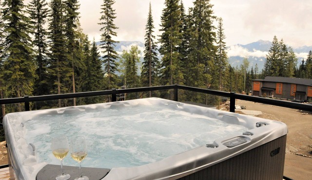 Great for large or multiple families. 2 minute walk to ski in/out trail.