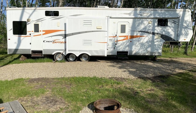 Hawk - Camper at Sunset Bay