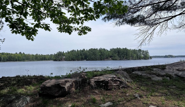 Historic but HiTech, modern Burleigh Falls cottage on Stony Lake. Amazing views