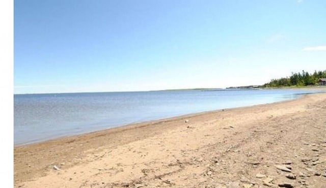 Historic Oceanfront Cottage! (Sleeps 6)