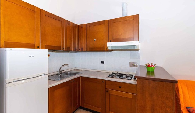 Holiday apartment with garden