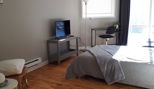Home away from home! Nice and cozy studio with a Private Backyard.