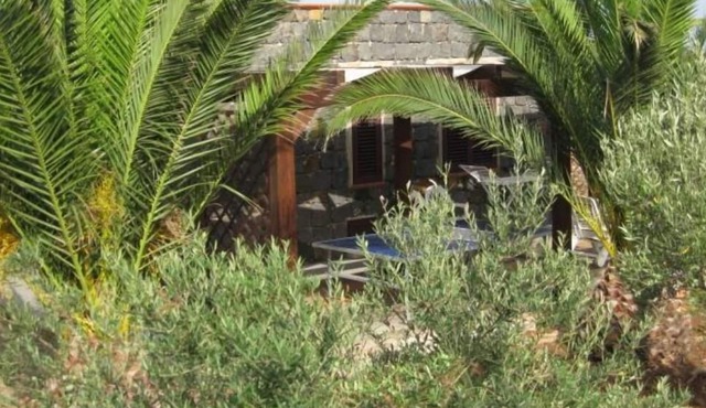 Hose of the palm trees, 5000 sq.m of garden, and there is a vegetable garden ava