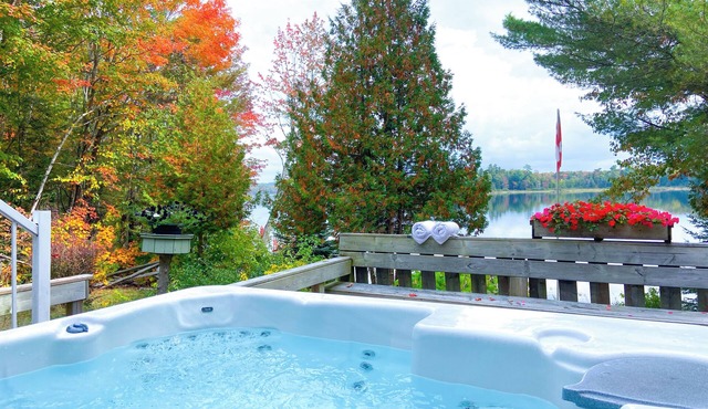 Hot Tub, SUP, Canoe, Fireplace, WiFi, Dog Friendly, 5 Mins to Baysville