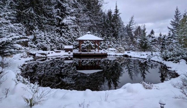 Huge Private Oasis, Special Events, Perfect for Large Groups, Outdoor Sauna.