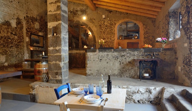 Il Tanaceto