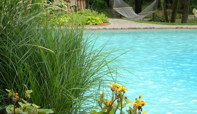 L'Oasis de l'Île, Refuge Urbain