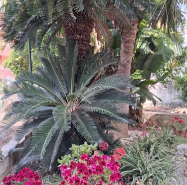 La Rugiada-con giardino e parcheggio moto privato