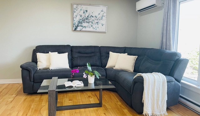 Large 3BR Suite/Garden & Ocean View/Parking/12 Min DT