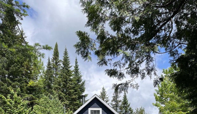 Le chalet bleu des Laurentides | Cozy Blue Cabin in the Laurentiens