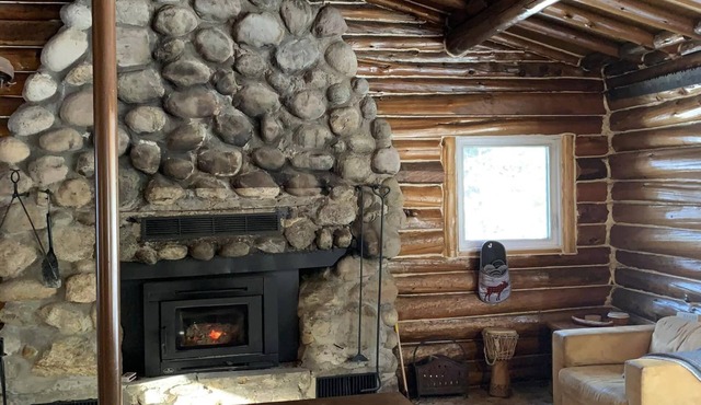 Log Cabin Getaway - rustic-chic - waterfront, dock, firepit & indoor fireplace!