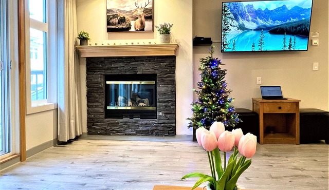 Luxury Newly Renovated 2 Bedroom Suite with heated Parking, A/C, BBQ/Two parking