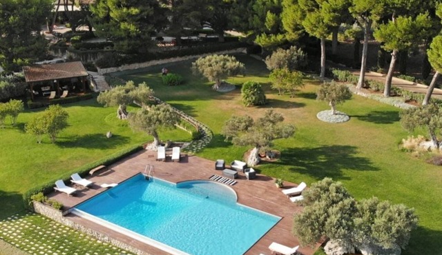 Luxury Villa Surrounded by Olive Grooves
