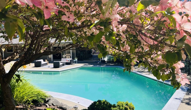 Magical Farm Villa with Heated Salt Water Pool