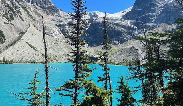 Marvelous condo with WiFi in Pemberton