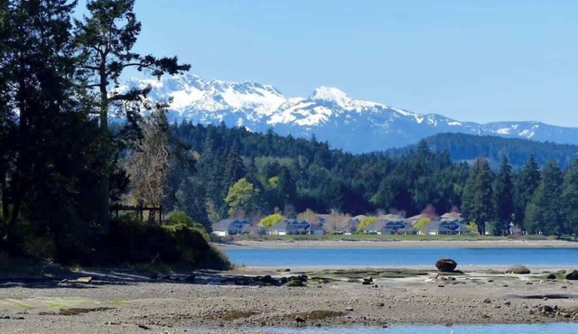Mermaid Cove - OceanFront - 1BDRM