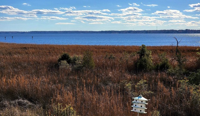 Minutes from downtown New Bern