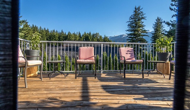 Modern 6BR,6BTH Mountain Lodge Near Revelstoke Resort, Hot Tub, Gear Room!