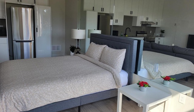 Modern, Luxurious, Spacious and Clean.