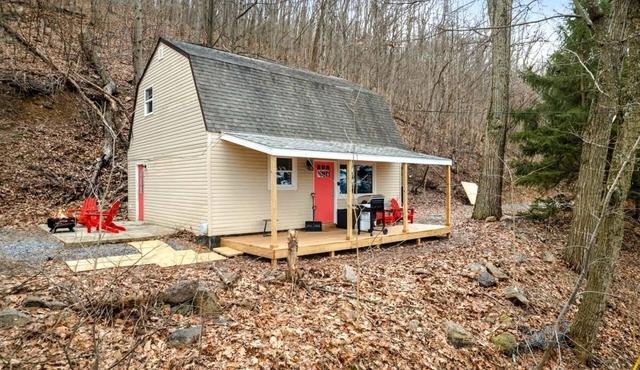 Modern Mountain Cottage with Hot Tub, Fire Pit Nestled in the Woods of Gerrardstown, WV