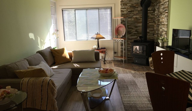 Modern, Mountain view, 1 Bedroom Condo with Hot tub and sauna.