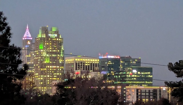 Modern Raleigh Downtown Rooftop Skyline View SFH-R