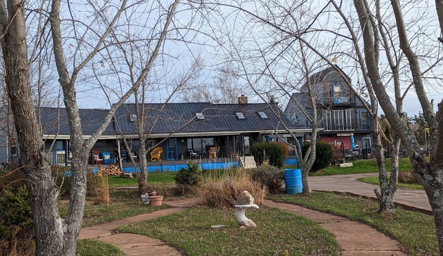Oceanfront "funky" house with outdoor pool and tiki bar
