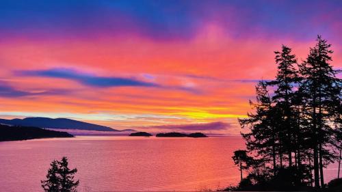 Oceanfront Garden Suite - Stunning Views & Wildlife