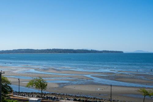 Oceanfront - Steps to Pier & Beach - Free Onsite Parking
