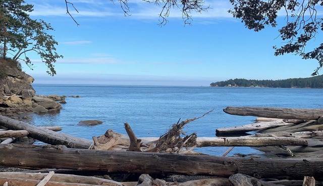Oceanfront Views, Full Kitchen, Wi-Fi ~ Where the Forest Meets the Ocean