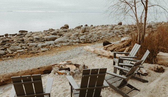 Oceanview Heron Studio