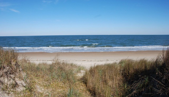 Old Time Beach Front Cottage - The Beach Is Your Backyard! 3 Bedroom Cottage by RedAwning