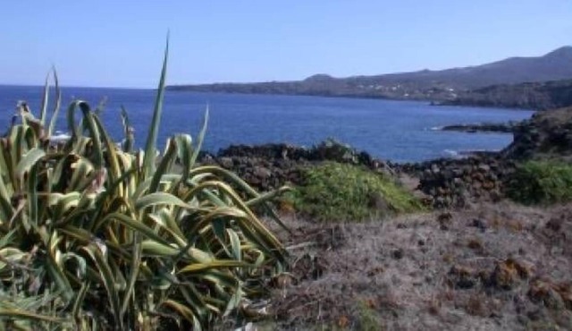 Pantelleria Dammuso by the sea for holidays