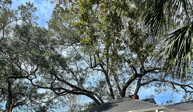 Peaceful downtown cottage in Historic Georgetown.
