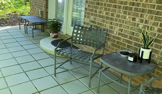 Peaceful Haven apartment nestled in the woods minutes away from historic Waxhaw.