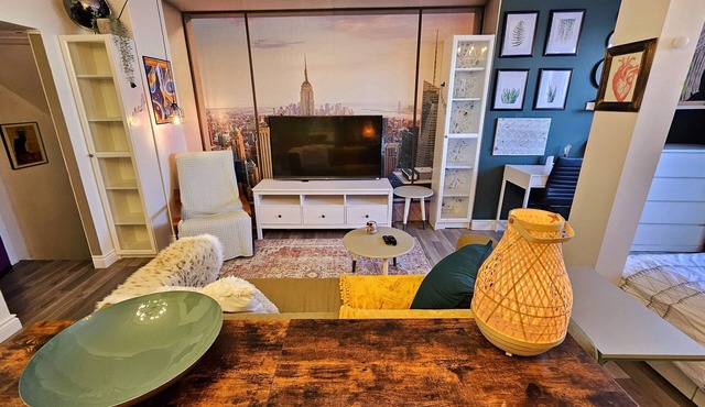 Private&Bright Bachelor Apt on Erie St ideal for Temp Workers and Grad Students in Windsor