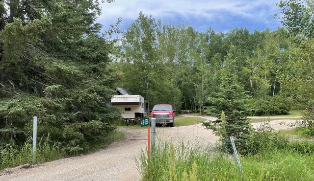 Private campsite less then a mile from the bel air provincial forest