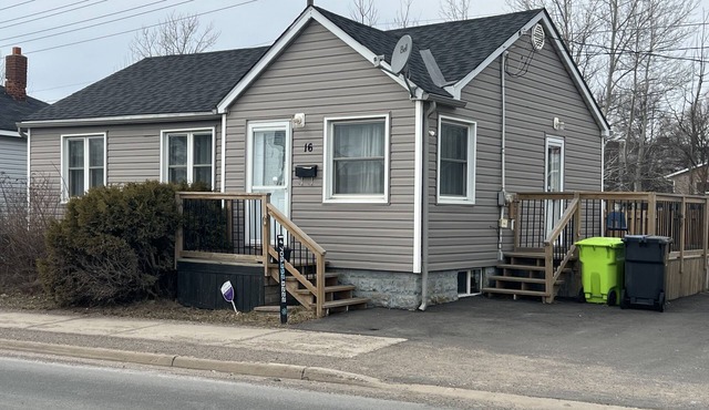Professional Bungalow