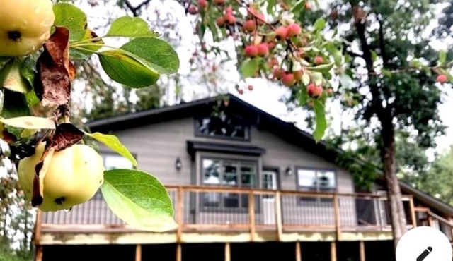 Quiet, serene accommodation with fire pit, lake view, screened-in sitting area.