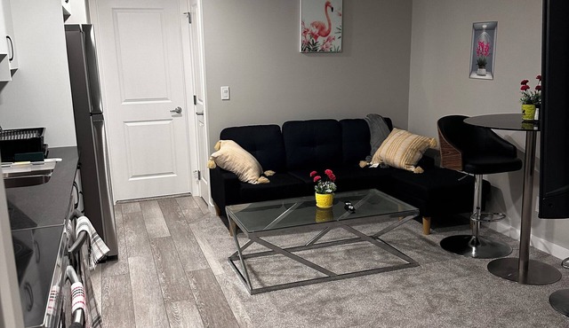 Room for Everyone: 2 Bed, 2 Bath Basement Made for Comfort
