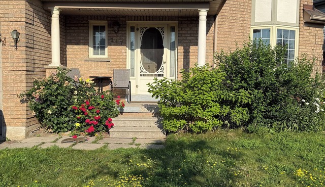 Room in Brampton Downtown, 15 minutes from Toronto International Airport in Brampton