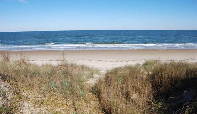 Rustic Beach Front Apartment - Cozy, Rustic and On the Beach! - 2 BR/1 Bath