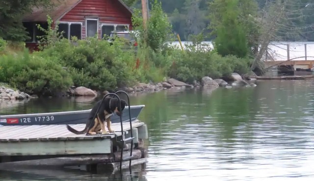 Rustic Log Cabin #8 on Crow Lake at Bull Moose Lodge. Family and pet friendly