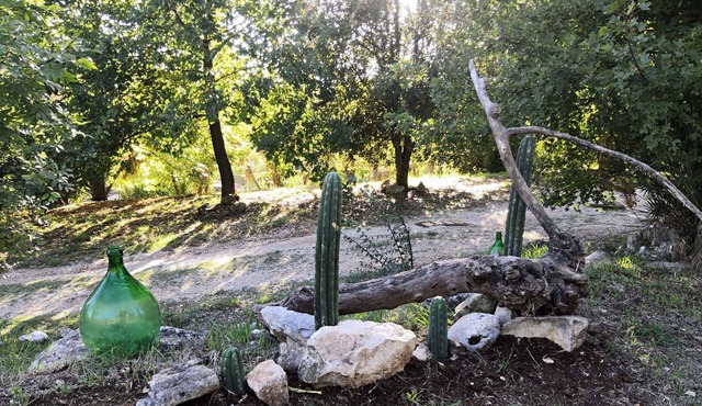 Serenella apartment in the nature between sea and mountain