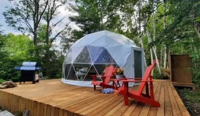Site #8 | Terra Dome